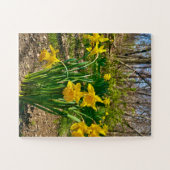 Golden Embrace | Daffodil Bloom in Springtime Legpuzzel (Horizontaal)