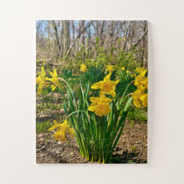 Golden Embrace | Daffodil Bloom in Springtime Legpuzzel