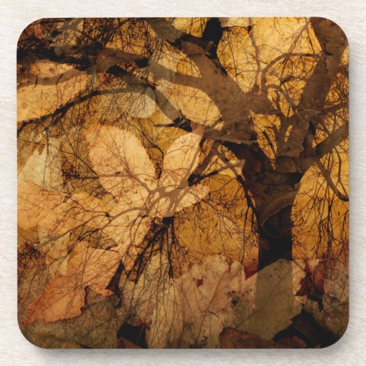 Golden en bruine bladeren | Merritt Island, FL Onderzetter (Voorkant)