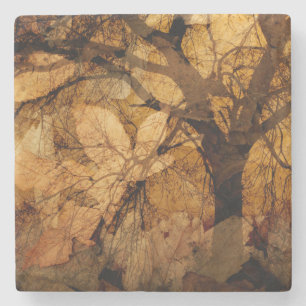Golden en bruine bladeren Merritt Island, FL Stenen Onderzetter