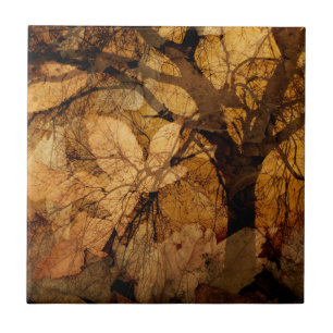 Golden en bruine bladeren Merritt Island, FL Tegeltje