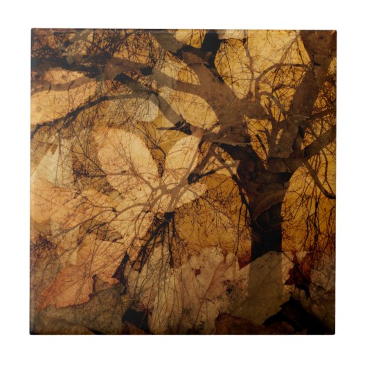 Golden en bruine bladeren | Merritt Island, FL Tegeltje (Voorkant)