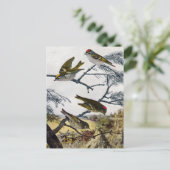 Golden en Ruby-Crowned Kinglets Briefkaart (Staand voorkant)