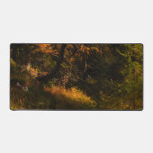 Golden European larch in herfstkleuren Bureaumat (Voorkant)