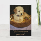 Golden Expanding: de nieuwste aanwinst Kaart (Voorkant)