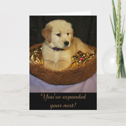 Golden Expanding: de nieuwste aanwinst Kaart (Voorkant)