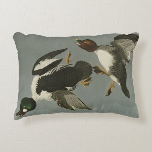 Golden-Eye Duck - van Audubon's Birds of America Accent Kussen