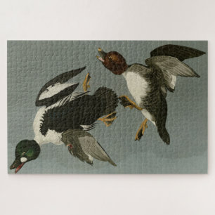 Golden-Eye Duck - van Audubon's Birds of America Legpuzzel
