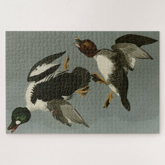 Golden-Eye Duck - van Audubon's Birds of America Legpuzzel (Horizontaal)