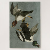 Golden-Eye Duck - van Audubon's Birds of America Legpuzzel (Verticaal)