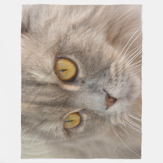 Golden Eye Gray Persian Cat Fleece Deken (Voorkant)