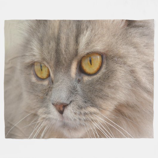 Golden Eye Gray Persian Cat Fleece Deken (Voorkant (Horizontaal))