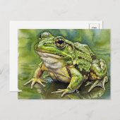 Golden-Eyed Frog Briefkaart voor Postcrossing (Voorkant / Achterkant)
