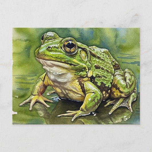 Golden-Eyed Frog Briefkaart voor Postcrossing (Voorkant)