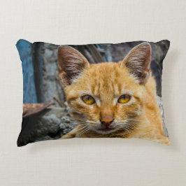 Golden Eyes Accent Kussen