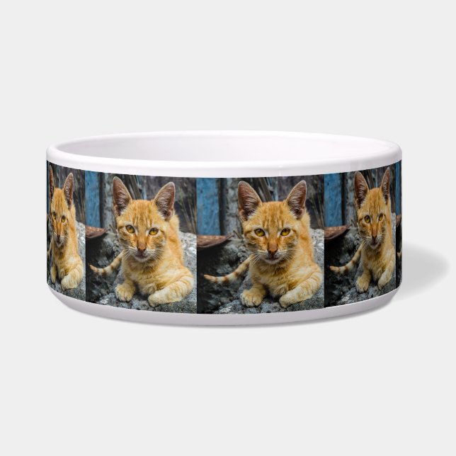 Golden Eyes Bowl Voerbakje (Links)