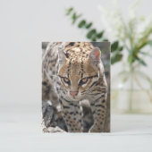 Golden Eyes Briefkaart (Staand voorkant)