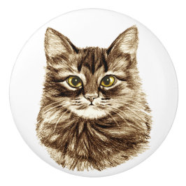 Golden Eyes Cat Cabinet Cupboard Drawer Pulls Knoo Keramische Knop