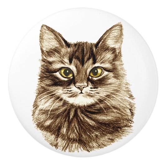 Golden Eyes Cat Cabinet Cupboard Drawer Pulls Knoo Keramische Knop (Voorkant)