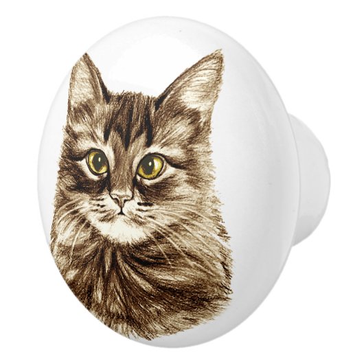 Golden Eyes Cat Cabinet Cupboard Drawer Pulls Knoo Keramische Knop (Rechts)