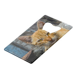 Golden Eyes Creditkaart Flessenopener