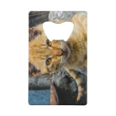 Golden Eyes Creditkaart Flessenopener (Achterkant)