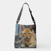 Golden Eyes Crossbody Tas (Voorkant)