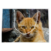 Golden Eyes Groot Cadeauzakje (Voorkant)