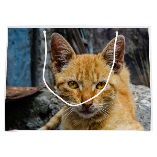 Golden Eyes Groot Cadeauzakje (Voorkant)