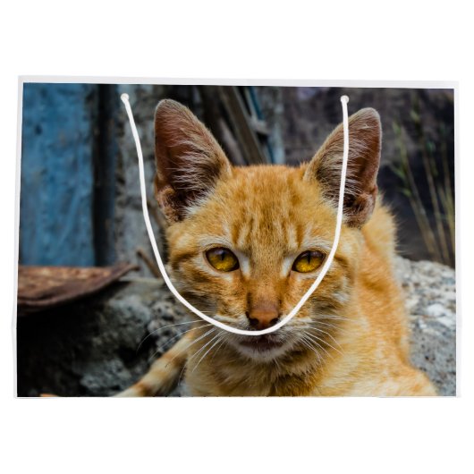 Golden Eyes Groot Cadeauzakje (Achterkant)