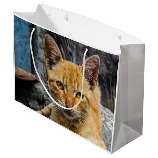 Golden Eyes Groot Cadeauzakje (Achterkant Gekanteld)