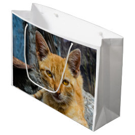 Golden Eyes Groot Cadeauzakje