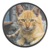 Golden Eyes Hockey Puck (Voorkant)