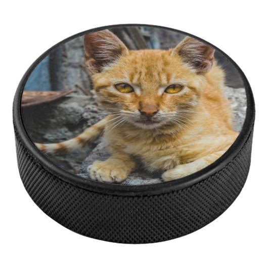 Golden Eyes Hockey Puck (3/4)