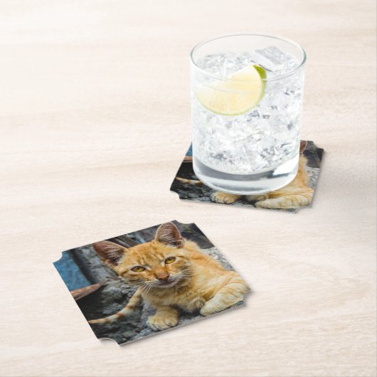 Golden Eyes Kartonnen Onderzetters (Insitu)