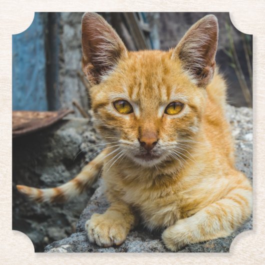 Golden Eyes Kartonnen Onderzetters (Voorkant)