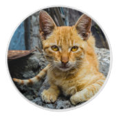 Golden Eyes Keramische Knop (Voorkant)