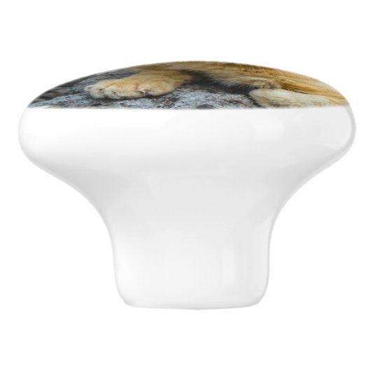 Golden Eyes Keramische Knop (Zijkant)