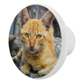 Golden Eyes Keramische Knop