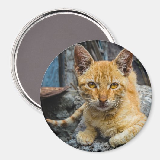 Golden Eyes Magnet (Voorkant / Achterkant)