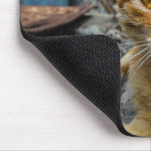 Golden Eyes Muismat (Hoek)