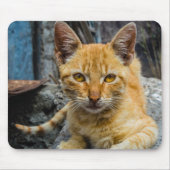 Golden Eyes Muismat (Voorkant)