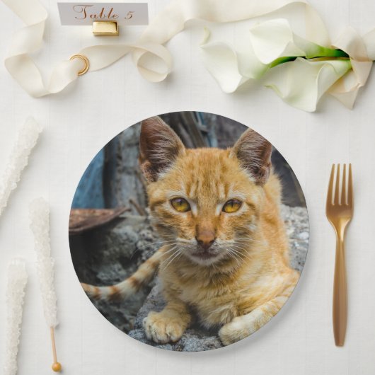 Golden Eyes Papieren Bordje (Huwelijk)