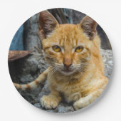 Golden Eyes Papieren Bordje (Voorkant)