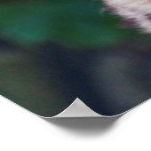 Golden Eyes Print (Hoek)