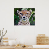 Golden Eyes Print (Keuken)