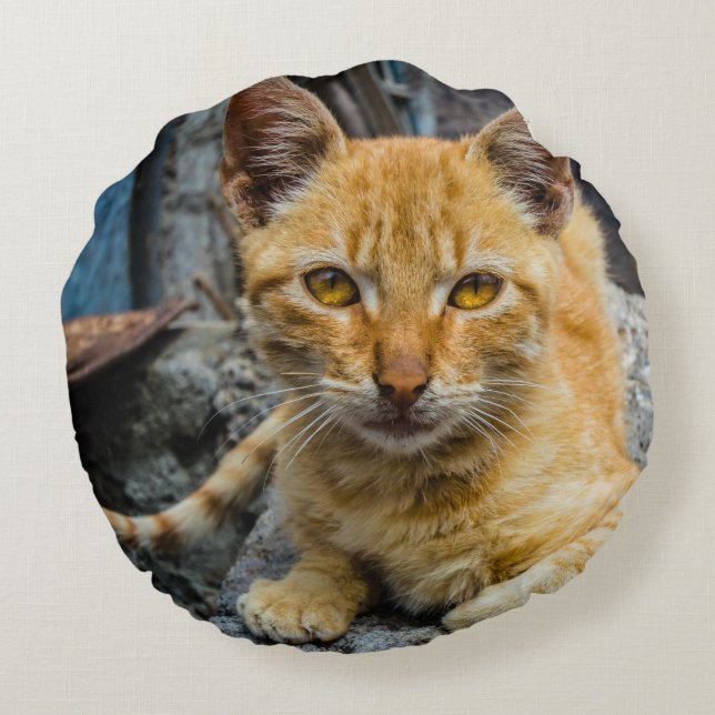 Golden Eyes Rond Kussen (Achterkant)