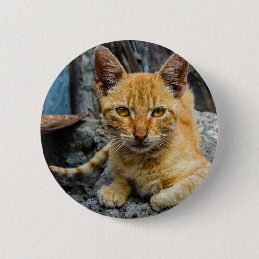 Golden Eyes Ronde Button 5,7 Cm (Voorkant)