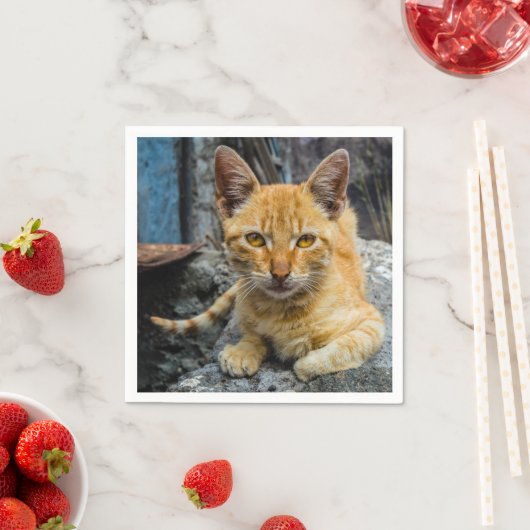 Golden Eyes Servet (Insitu)