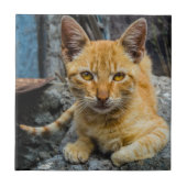 Golden Eyes Tegeltje (Voorkant)